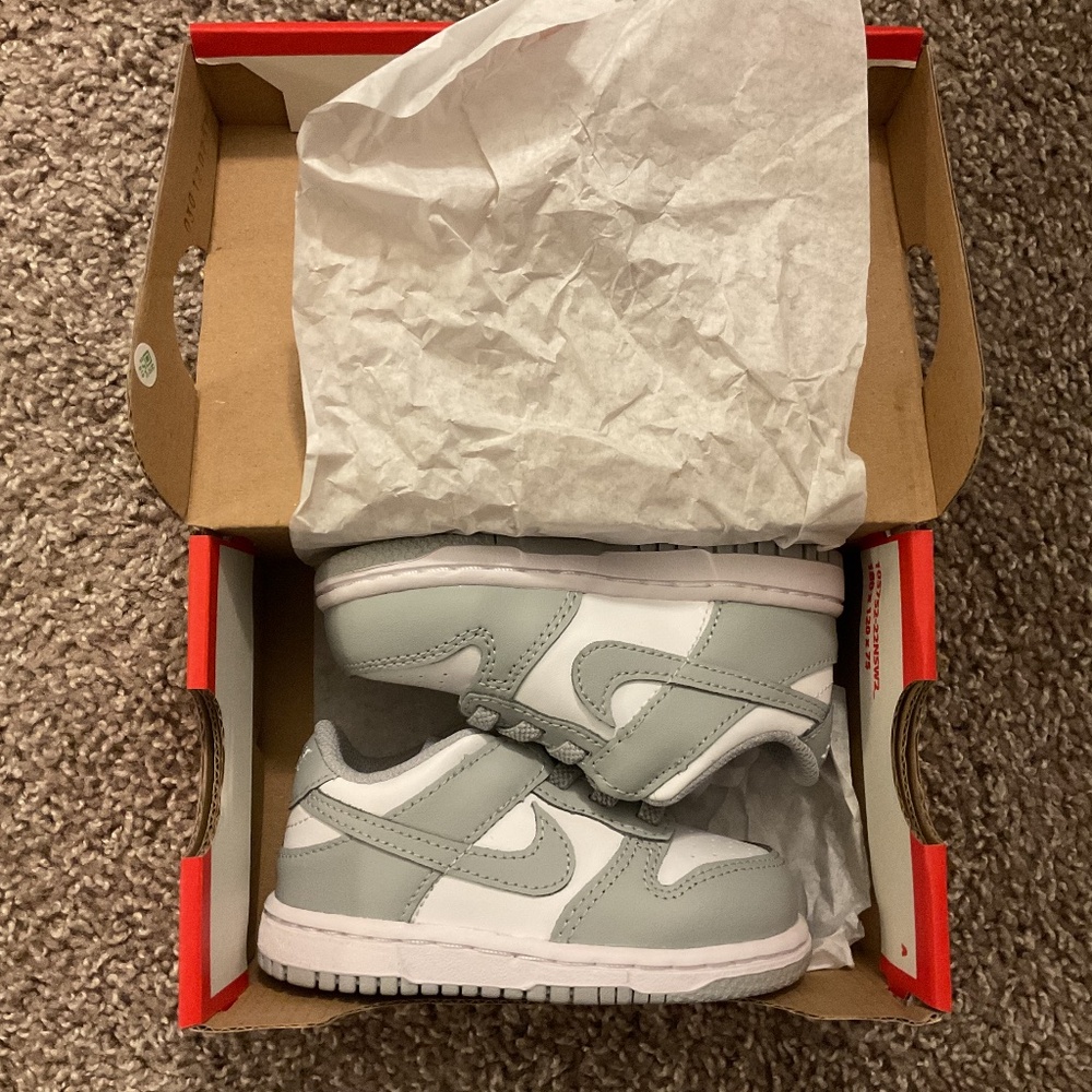 Toddler Nike Dunks